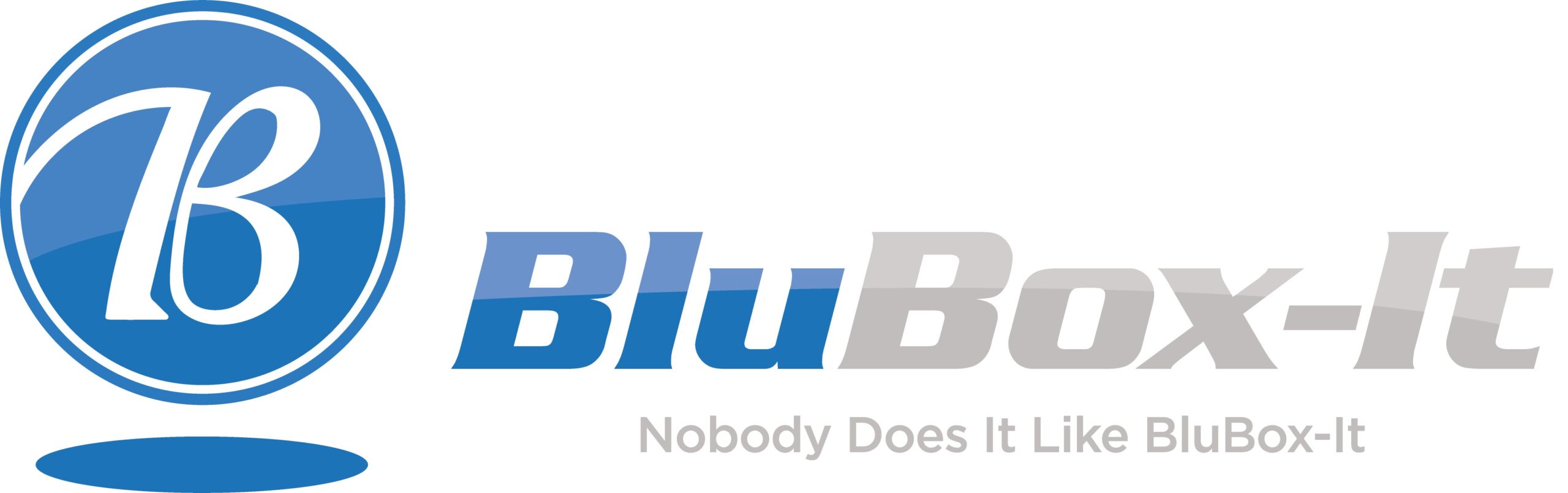 https://www.blubox-it.com/wp-content/uploads/2023/06/BluBox-Logo-1-scaled.jpg