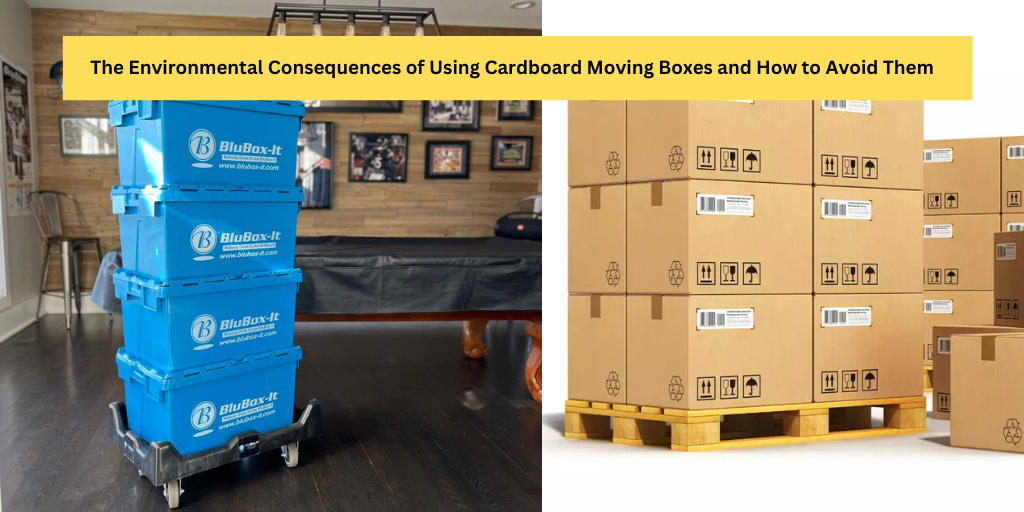 card board boxes VS Plastic Moving Boxes
