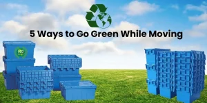 5 Ways to Go Green While Moving